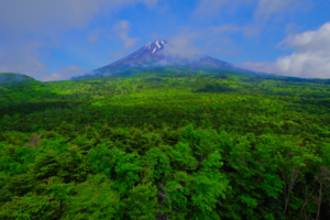 最新富士山の撮影記録 - やすらぎの富士