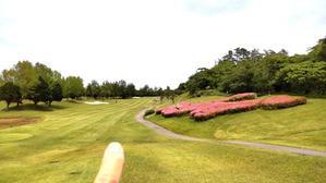 evergreen golf club