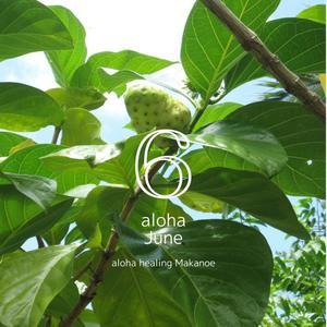 サロンカレンダー【６月】 - aloha healing Makanoe