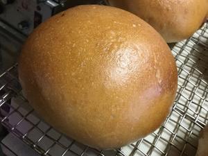  - 食の安全と手作りパン　　　heizelpanヘイゼルパン bread & beyond