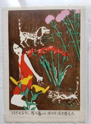 母が遺したものたち① - yamatoのひとりごと