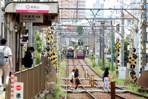 停留所から停留所へ　- 2024年初夏・東京都電 - - ねこの撮った汽車