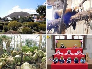 これまでの半年間と、これからの半年間について。 - どきどきとっきーのぶろぐ