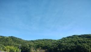 ７月７日　夏のM山 - 週末は山歩き
