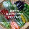 キシノウエンの 今日のてしごと  - 野菜セット単発便のご案内（8/14着分）