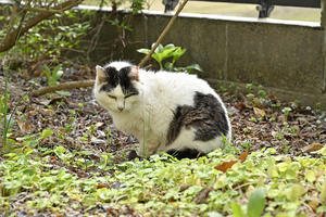 2024年・前半Ⅻ＋頑丈報告です。 - バリ島大好き