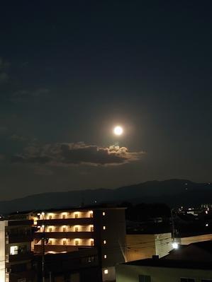 7月のお月さま - 京都ときどき沖縄ところにより気まぐれ