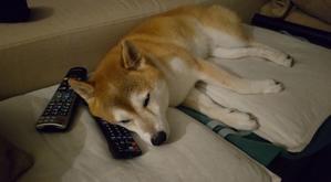 それぞれのオリンピック - yamatoのひとりごと