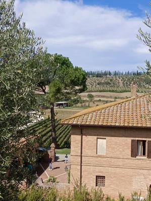  - Life in Tuscany...トスカーナのワイナリーで美味しい生活