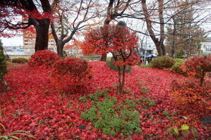 米沢より愛をこめて・・