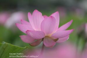 2024年、今年を振り返る - 風の彩りー３