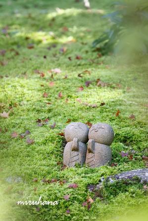 美を求めて。 - MIRU'S PHOTO