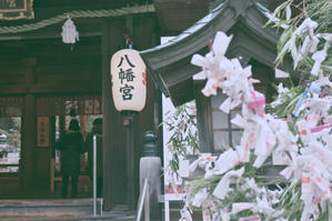 初詣り　♪ - Lovely Poodle