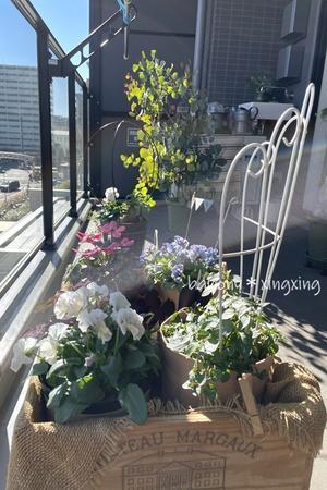 プロペラ飛行隊♪♪♪ - balcony＊xingxing＊