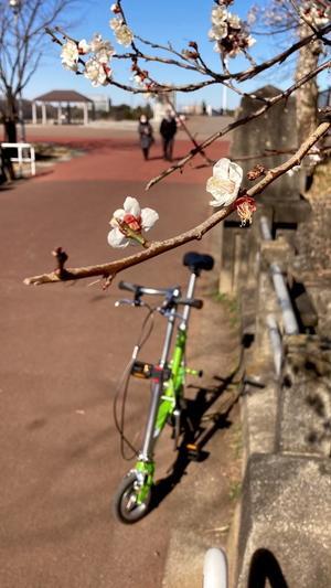 冬季休暇のお知らせ　カルマックスタジマ　２０２５～２０２６へ - カルマックス タジマ -自転車屋さんの スタッフ ブログ