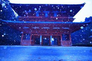 「明日、元気になぁれ」 - 君がいた風景