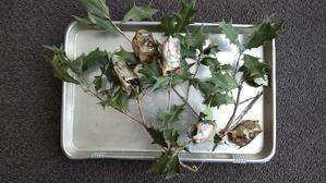 節分 - yamatoのひとりごと