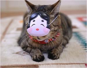 一日遅れの 鬼は～外、福は～内！ - 4にゃん日記＋