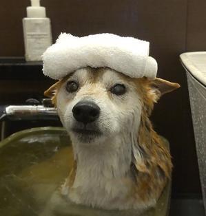 いい湯だな。 - yamatoのひとりごと