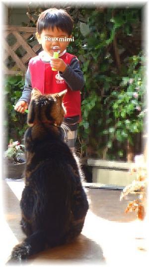 ウララ　と　ドゥちゃん　と　シャボン玉 - おだやかに　たのしく　Que Sera Sera