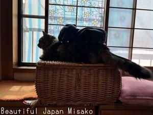 おんぶに抱っこっに立っち･ﾟ☆､･：`☆･･ﾟ･ﾟ☆ - Beautiful Japan 絵空事