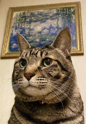 夢見がちな猫警備員 ～猫の日～ - 雲母（ＫＩＲＡ）の舟に乗って