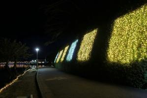 蓮華寺池公園花回廊イルミネーション2024・４♪ - happy-cafe*vol.2