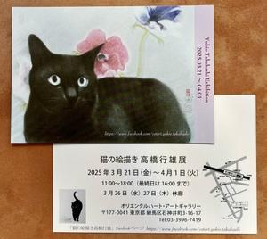 ‘猫の眼’