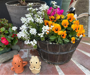 【エキサイトブログ20周年！】感謝の気持ちを込めて☆ - 鮎、山女魚、キジさんに会いたくて