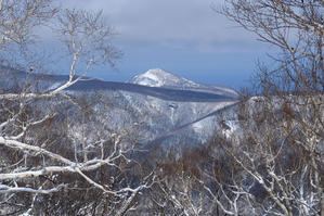 上二股峰山 770 m ～  奥澤 761.6 m （二等三角点）　小樽市　　2025.4.5 - へっぽこハイカーのフォトログ