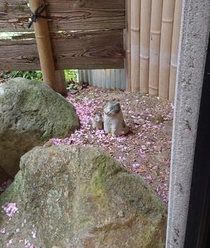 また春に･･･ - 金沢犀川温泉 川端の湯宿「滝亭」BLOG