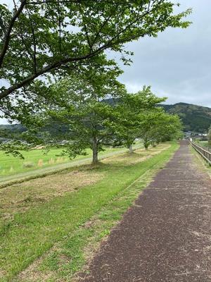 ゲロリンの休み休み自転車