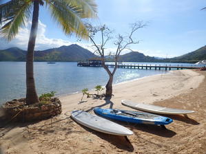 ジュゴンに会えて本当に楽しかったよー！　　　　Busuanga - たのしくいこぉ