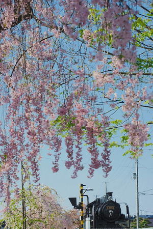 鬼鉄のPHOTO缶