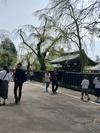 Rose&Farm - 2日目角館散策