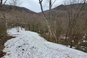 Mountain  Rose2