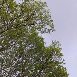 躁鬱について考える。 - カメラ小僧ぷーちゃんのGRフォトダイアリー。