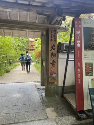 5月8日＠浄瑠璃寺と超国宝展 - ♀　家飲み一人酒日記