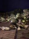 順照寺の住職ブログ - 五月の雨