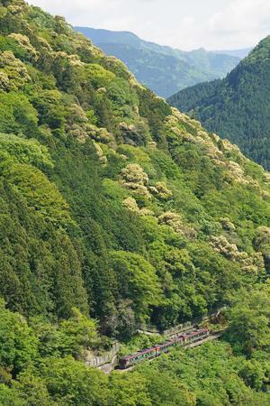 土讃線　上り46D特急南風16号 - 南風・しまんと・剣山　ちょこっと・・・