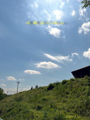 TOKYO FARM VILLAGEでランチ - 疾風谷の皿山…陶芸とｵｰﾄﾊﾞｲと古伊万里と