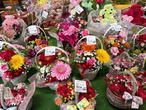 母を思う日 - 宝如徒然