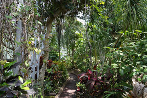さいたま市園芸植物園 - 日々是或不阿