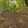 burnet hillのパートナーたち - 猫たちと庭散歩