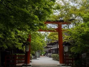 下鴨神社 - gathering