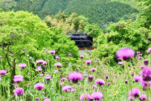 山口線で遊ぶ - ポン太の写真帳別館