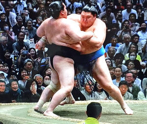 呼び出しのこゑ朗々と五月場所　大の里が優勝！！ - 東金、折々の風景　写真と俳句