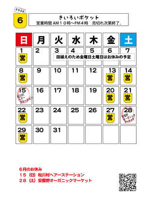 きいろいポケット