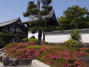 最悪の修学旅行Ⅱ - バリ島大好き