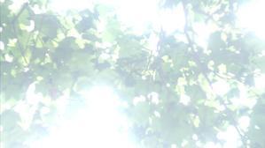 続・Helios44M−４ - ユルリ ユルリト。